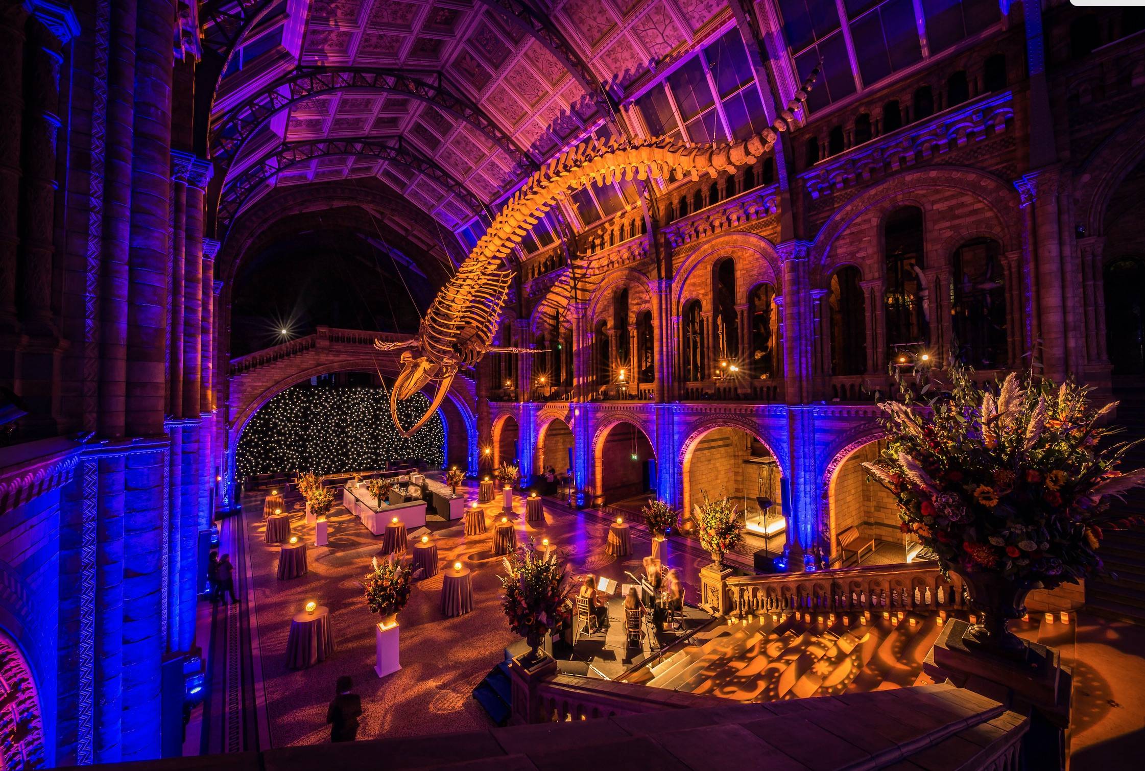 Why the natural history museum is the perfect venue for a celebration