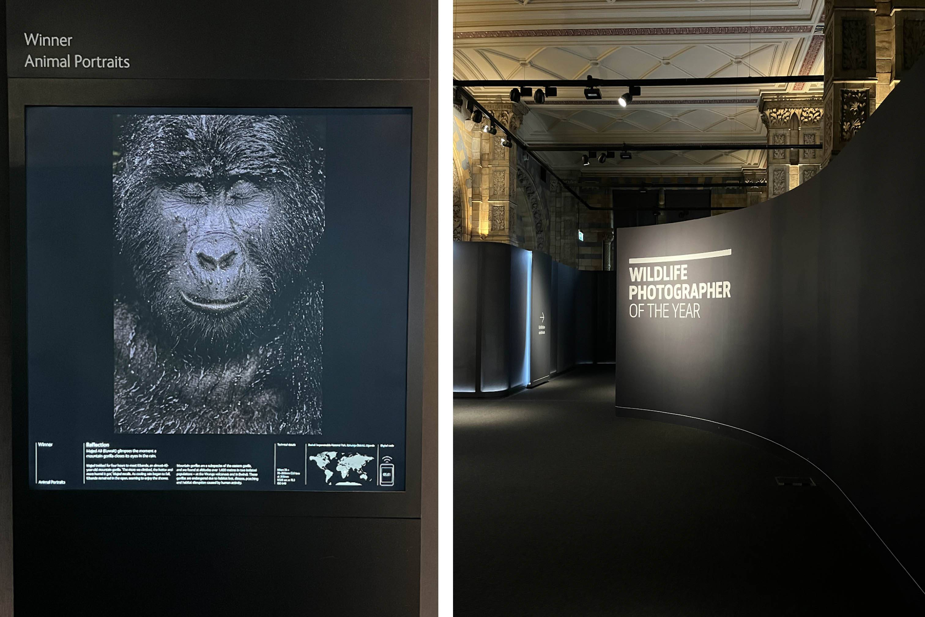 Wildlife Photographer of the Year exhibition, Hire the Wildlife Photographer of the Year Exhibition, Natural History Museum Event Spaces,  Hire the Natural History Museum, Natural History Museum Wedding, Natural History Museum Private Event, Natural History Museum Brand Launch